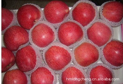 供應嘎啦蘋果 品質優(yōu)良，產地直供