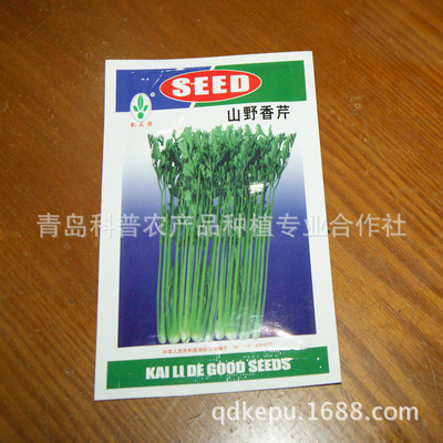 優(yōu)質香芹種子廠家供應 高產芹菜種苗助您增收